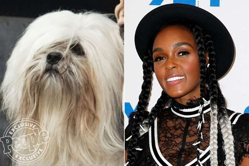 Divulgadas imagens in&eacute;ditas do Live-Action de A Dama e o Vagabundo