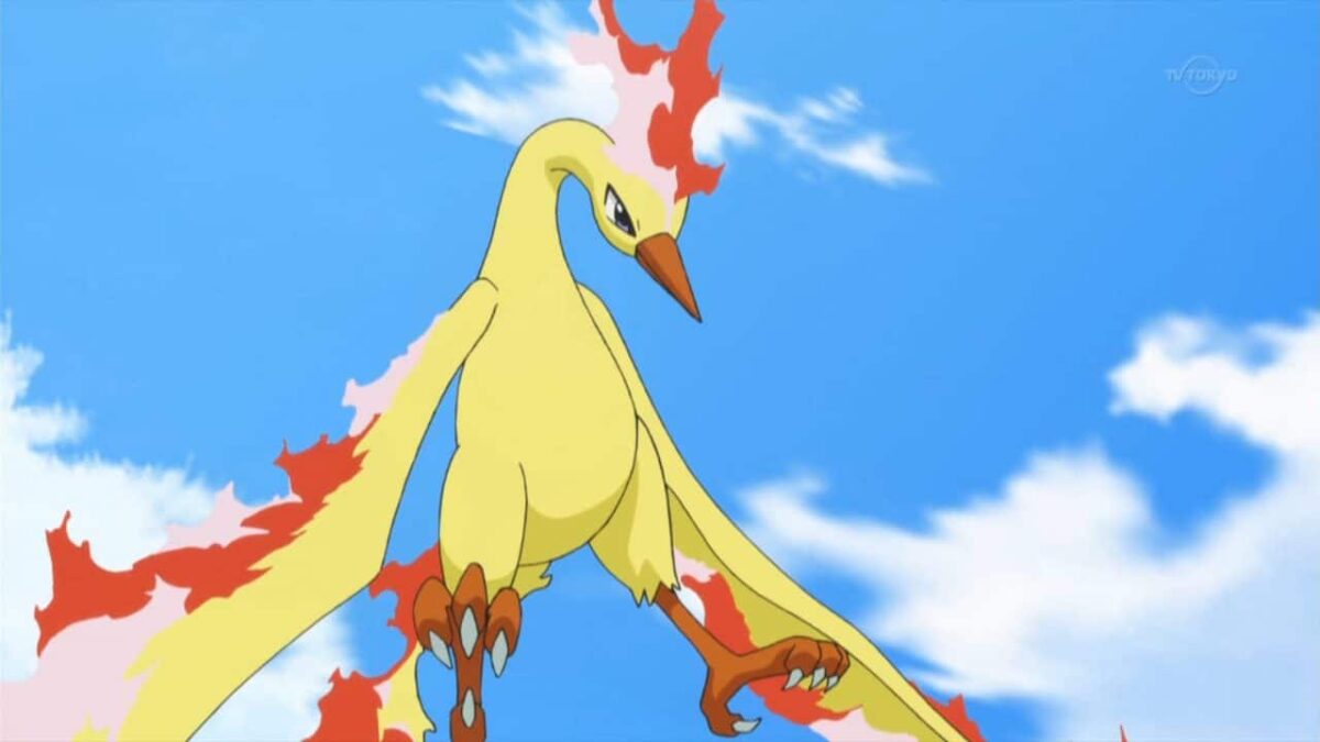 Pok&eacute;mon | Anime ter&aacute; o retorno de Moltres, Pok&eacute;mon lend&aacute;rio da primeira gera&ccedil;&atilde;o