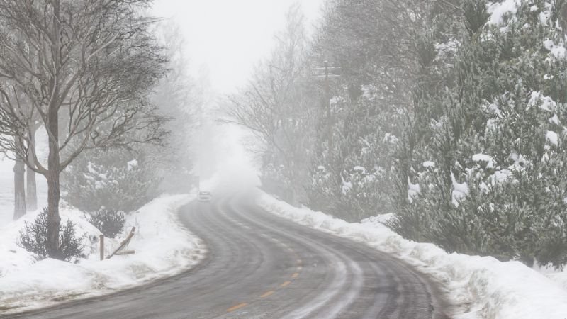 Fotografia da nova Floresta de North Yankton - mods para GTA 5 