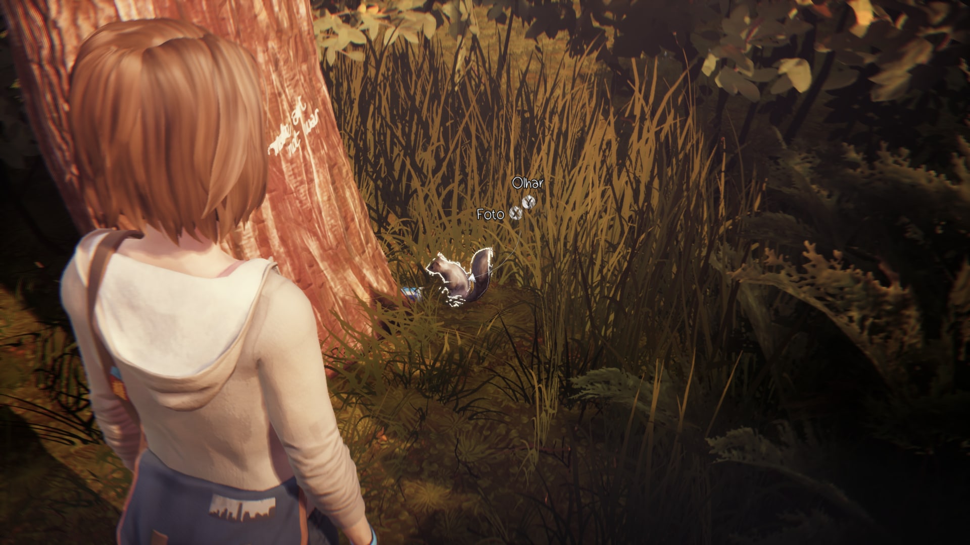 Life is Strange: Saiba como tirar todas as fotos
