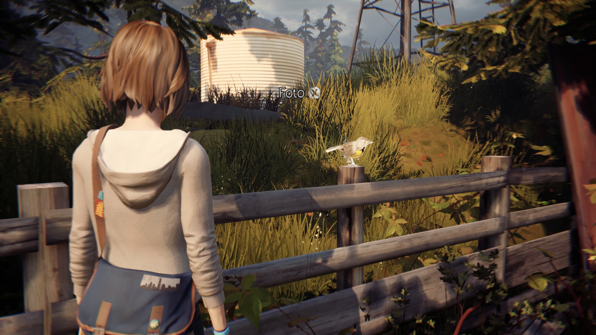 Life is Strange: Saiba como tirar todas as fotos