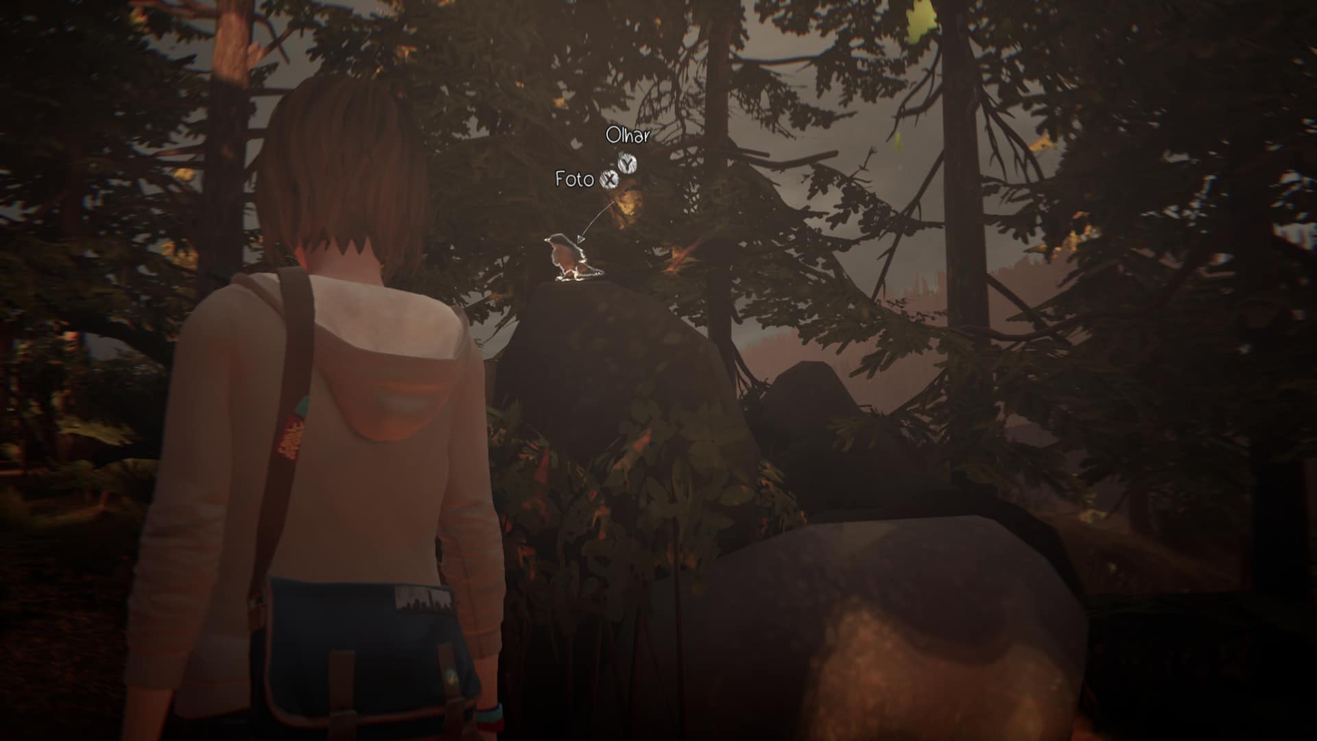 Life is Strange: Saiba como tirar todas as fotos
