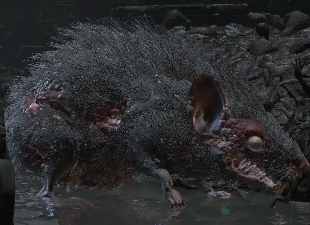 Imagem do Rato Gigante, uma criatura que inflige veneno em seus ataques. (Divulga&ccedil;&atilde;o / Internet)