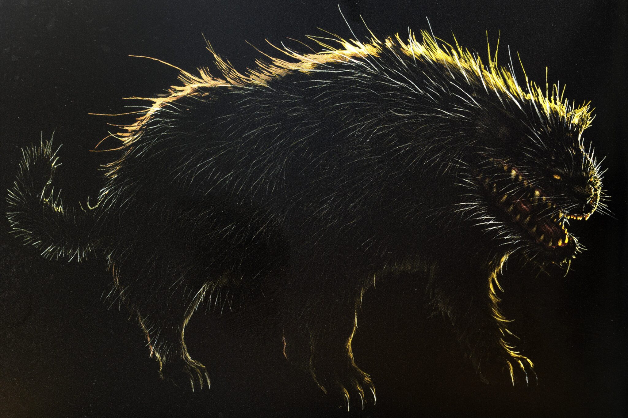 Imagem ilustrativa do Gato Gigante, uma criatura agressiva e extremamente forte. (Divulga&ccedil;&atilde;o / Internet)