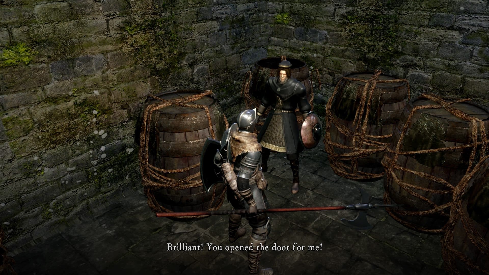 Griggs de Vinheim, personagem de "Dark Souls". (Divulga&ccedil;&atilde;o / FromSoftware)