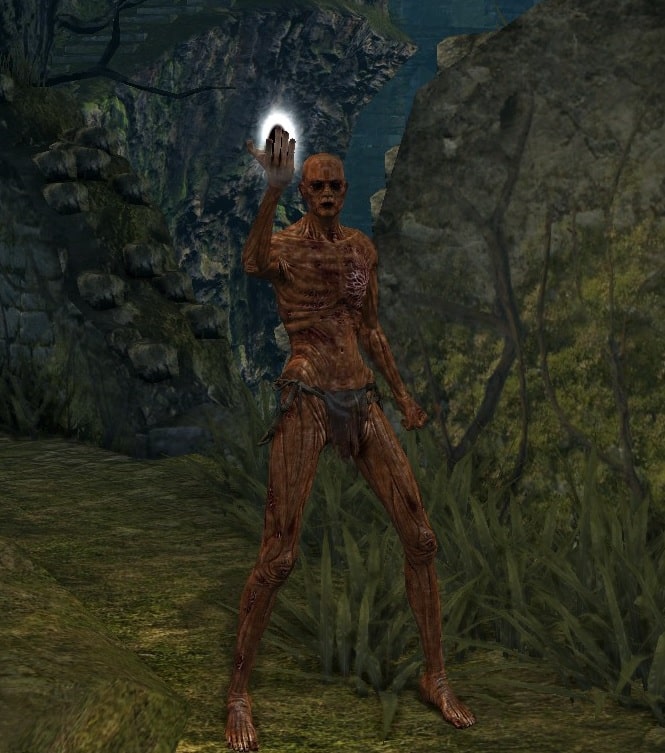 Imagem ilustrativa da utiliza&ccedil;&atilde;o do item "humanidade" de Dark Souls Remastered. (Divulga&ccedil;&atilde;o / Internet)