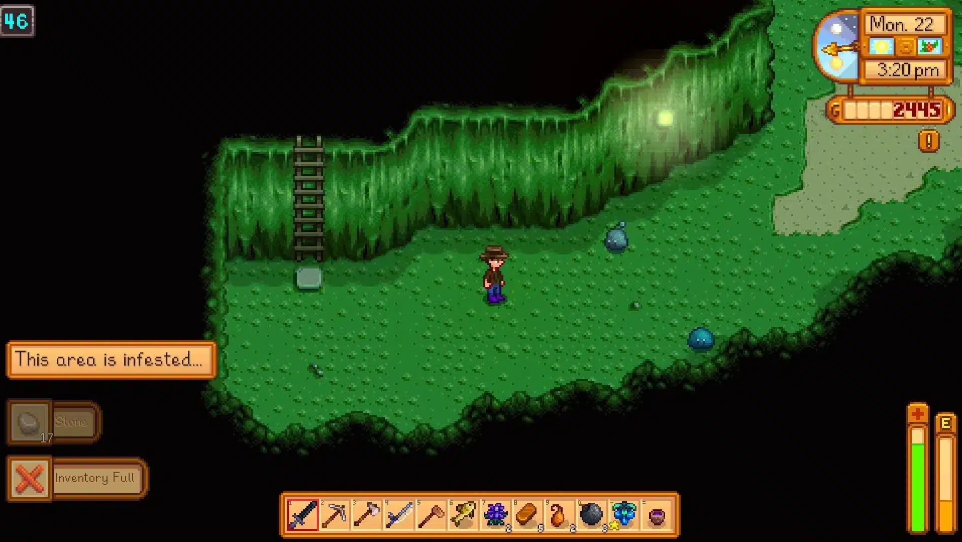 Stardew Valley: 7 coisas que voc&ecirc; N&Atilde;O deve fazer no jogo