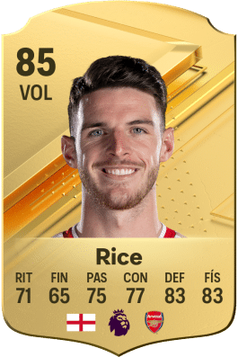 FIFA 24 Rice