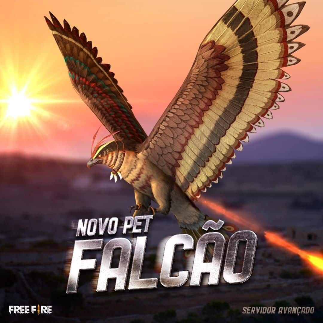 Imagem de lan&ccedil;amento do pet Falc&atilde;o no Free Fire. (Divulga&ccedil;&atilde;o / Garena Free Fire)