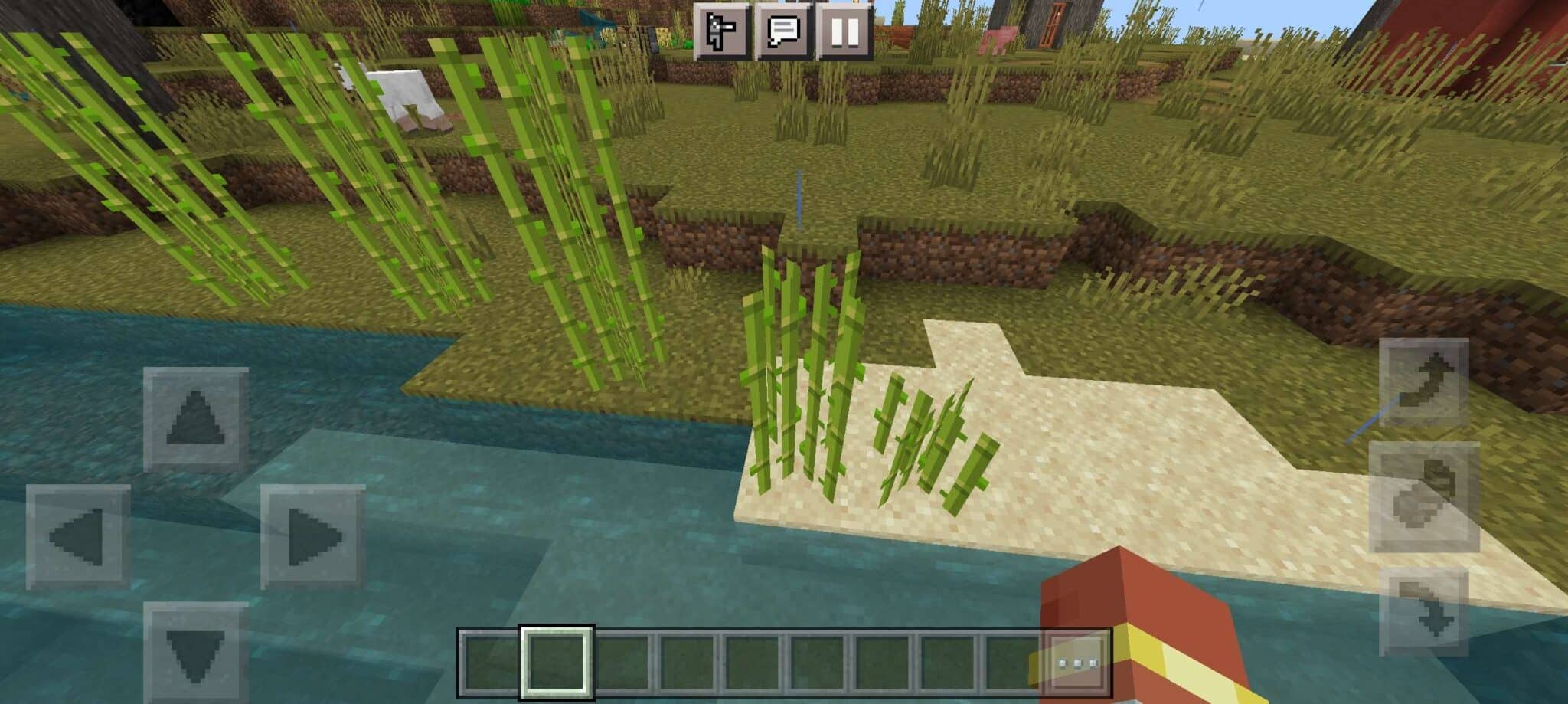 Imagem da cana-de-a&ccedil;&uacute;car com intuito de ensinar como fazer papel no Minecraft. (Divulga&ccedil;&atilde;o / Internet)