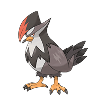 Pok&eacute;mon tipo Voador: Conhe&ccedil;a todos eles e seus tipos!