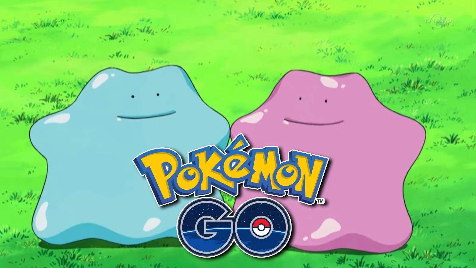 Imagem do Pok&eacute;mon mais raro, Ditto. (Divulga&ccedil;&atilde;o / Internet)