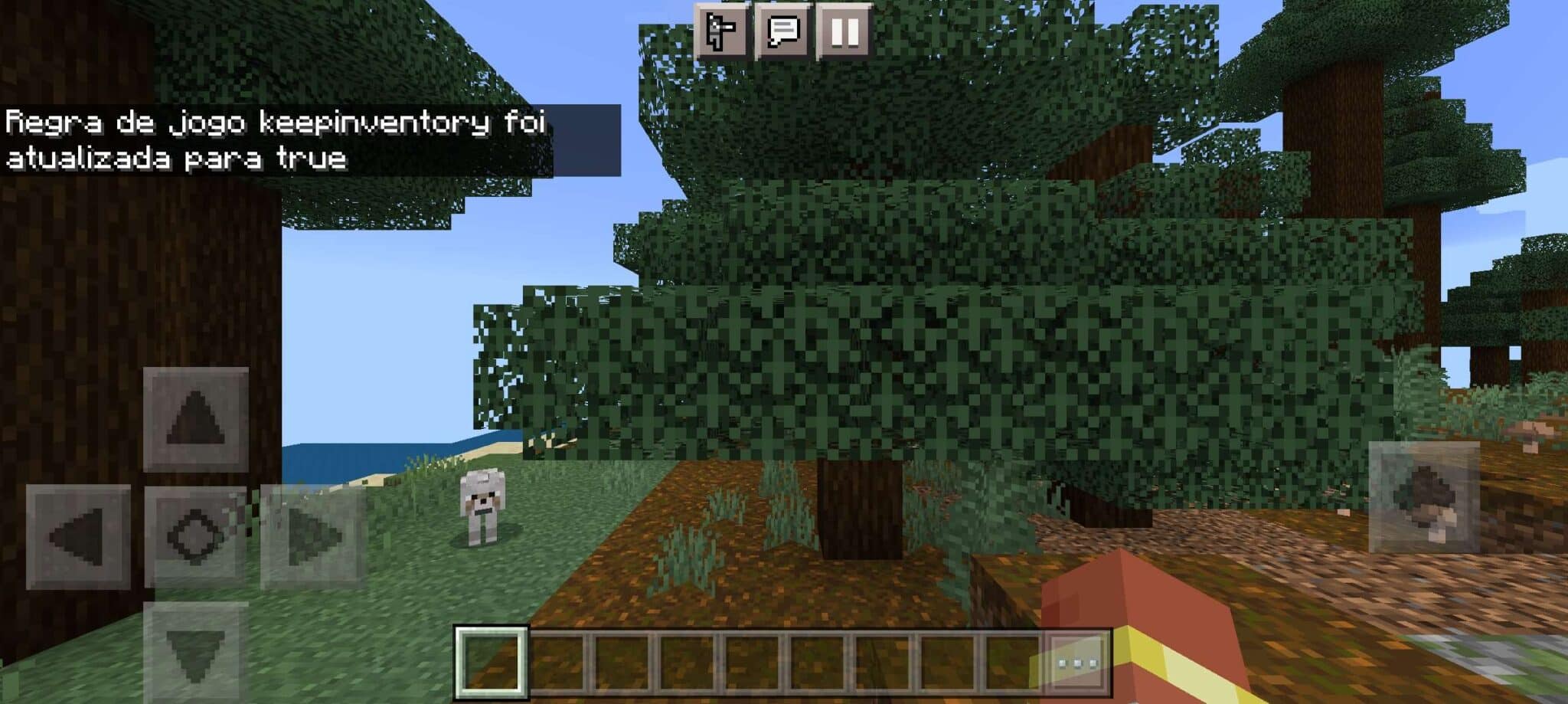 Foto tema: comando para n&atilde;o perder os itens no Minecraft, (Divulga&ccedil;&atilde;o / Internet)