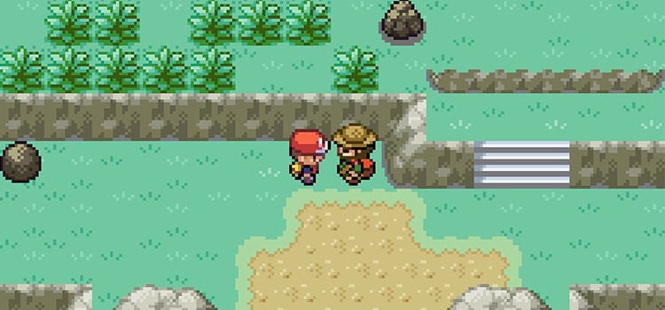 Pok&eacute;mon Radical Red cheats: Rare Candy, XP Infinito e mais