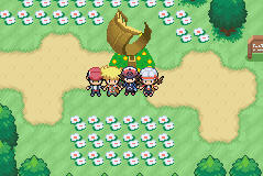 Pok&eacute;mon Black cheats: Dinheiro, Pok&eacute;dex, TM/HM e muito mais!