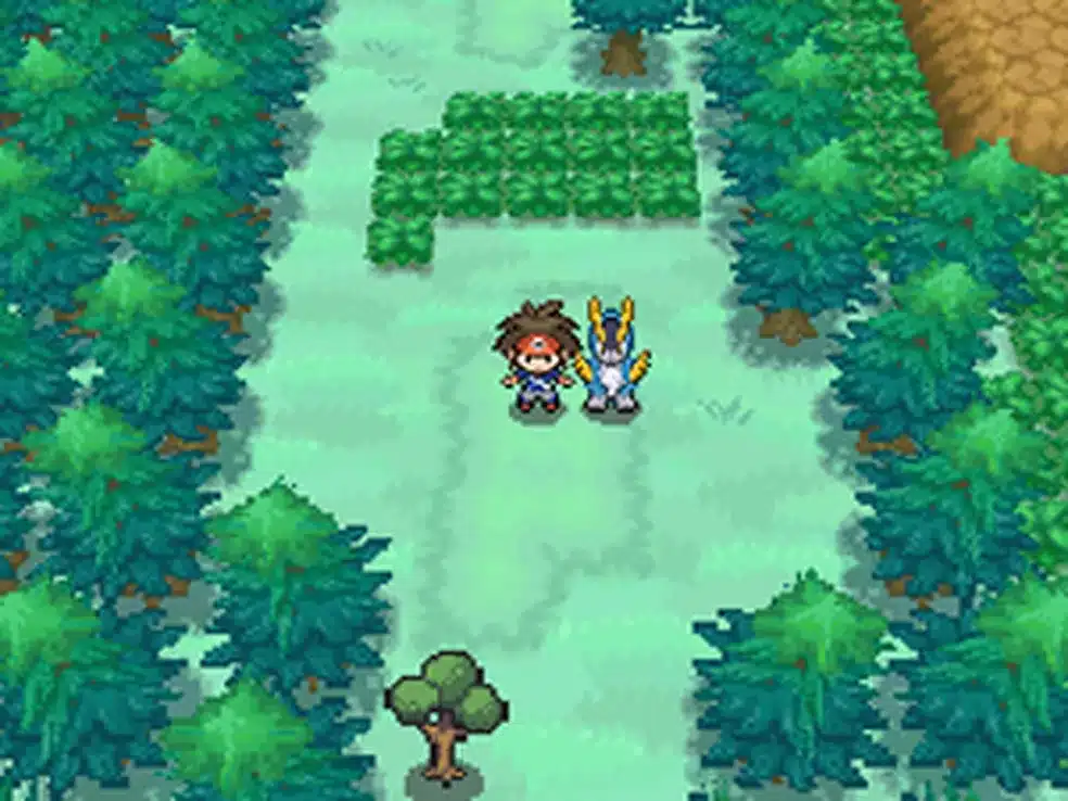 Pok&eacute;mon Black cheats: Dinheiro, Pok&eacute;dex, TM/HM e muito mais!