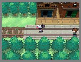 Pok&eacute;mon Black cheats: Dinheiro, Pok&eacute;dex, TM/HM e muito mais!