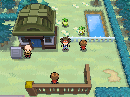 Pok&eacute;mon Black cheats: Dinheiro, Pok&eacute;dex, TM/HM e muito mais!