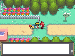 Foto tema: Pok&eacute;mon Heart Gold cheats. (Divulga&ccedil;&atilde;o / Internet)