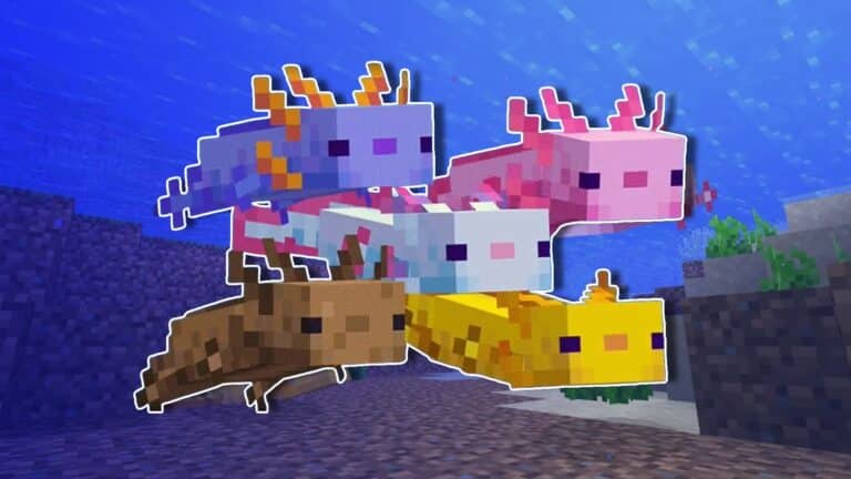Qual &eacute; o Axolote Mais Raro do Minecraft