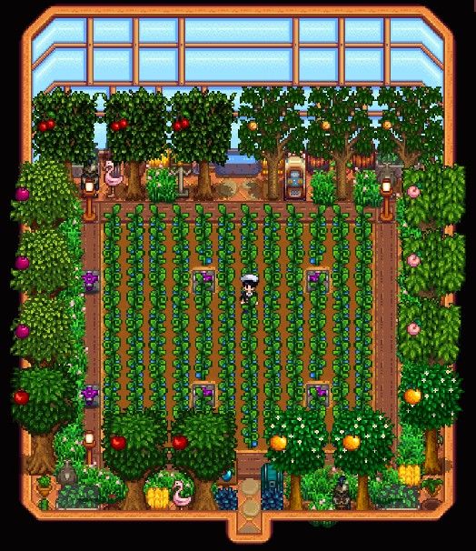 Melhor layout para sua estufa em Stardew Valley.
