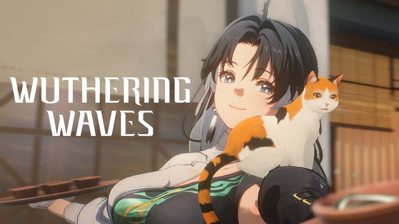 Personagens de Wuthering Waves: Habilidades, fun&ccedil;&otilde;es e mais!