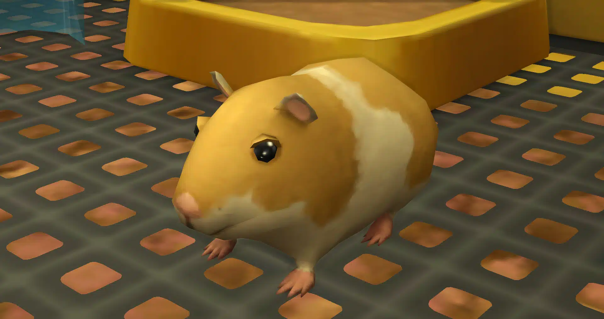 Tome cuidado para n&atilde;o deixar a casinha de seu hamster suja, pois as consequ&ecirc;ncias podem ser grandes.